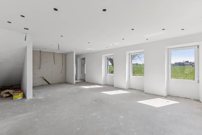 Opportunité: 2 villas jumelées + grange, aux portes d'Estavayer (9)
