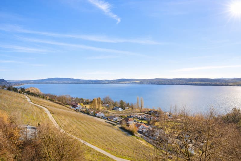 Villa neuve d'exception avec vue panoramique sur le lac de Morat (8)