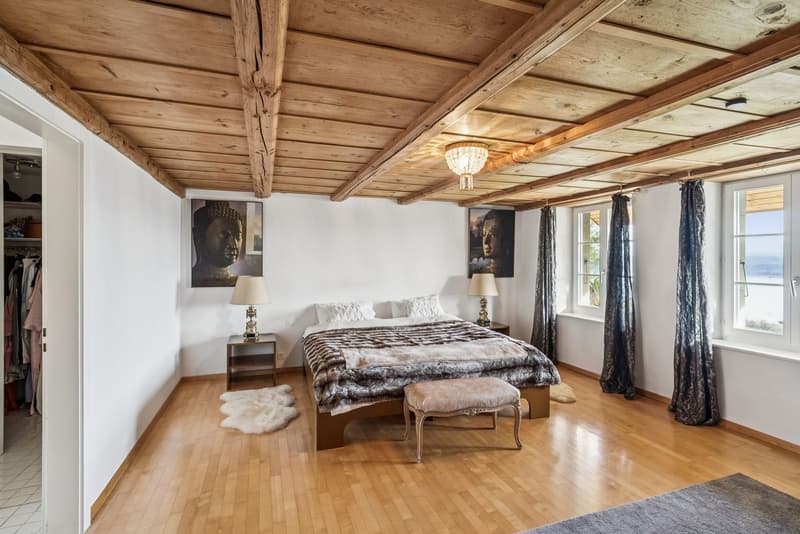 Exceptional property with lake view in Bellerive (7)