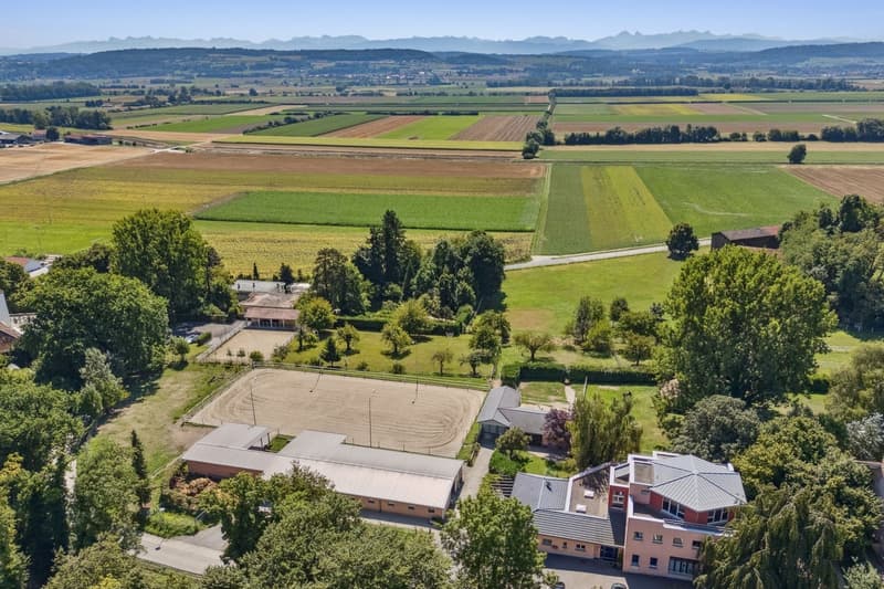 Un domaine équestre d'exception entre nature, élégance et liberté (1)