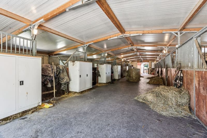 Un domaine équestre d'exception entre nature, élégance et liberté (4)
