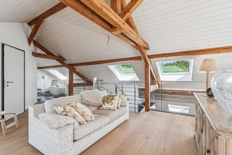 Élégance architecturale au coeur d'une ferme rénovée, à deux pas du la (6)