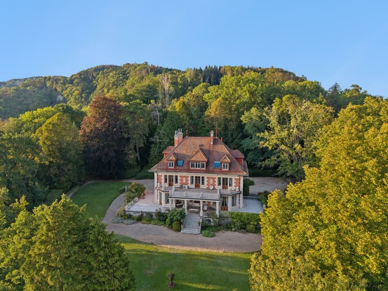 Lavaux : villa iconique, vue Léman et Alpes, domaine de près de 1.6 ha (12)