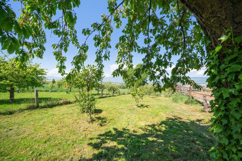 Family house with large outdoor area and terrace, close to Yverdon (9)