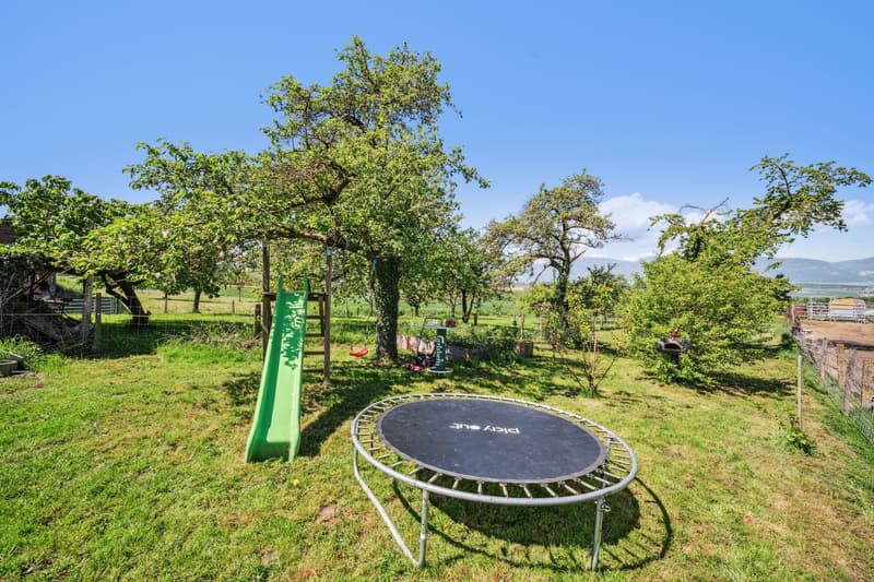 Family house with large outdoor area and terrace, close to Yverdon (8)