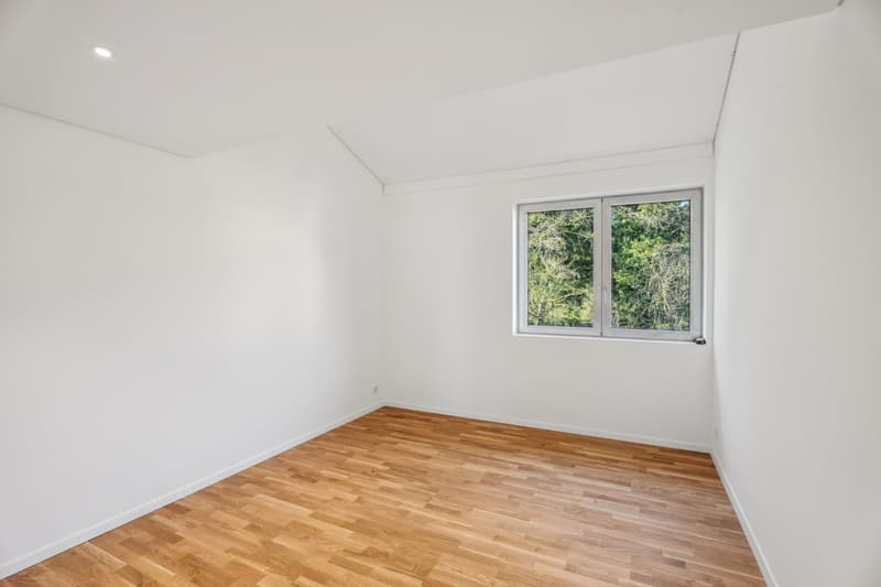 Elegant 5.5-room duplex with mezzanine and private elevator (9)