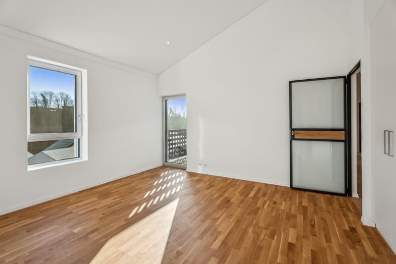 Elegant 5.5-room duplex with mezzanine and private elevator (5)