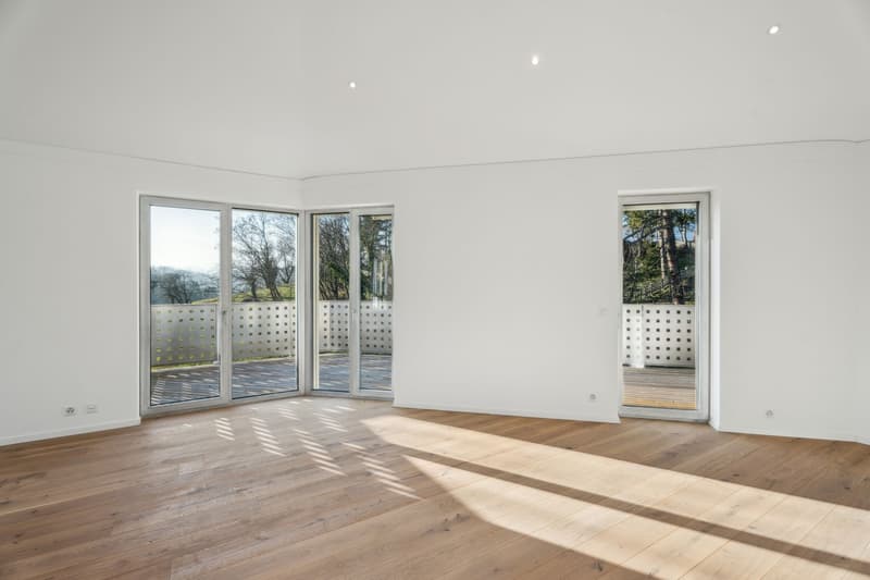 Elegant 5.5-room duplex with mezzanine and private elevator (3)