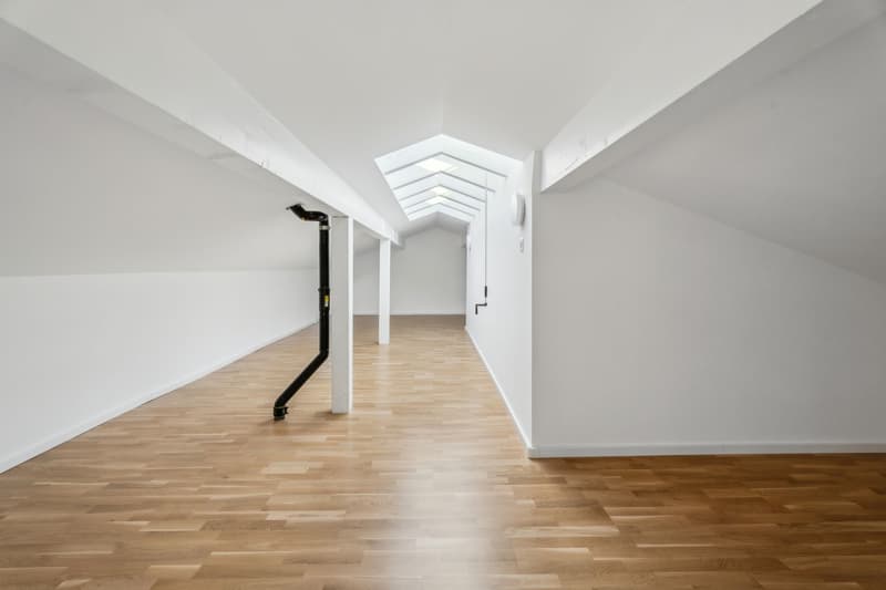 Elegant 5.5-room duplex with mezzanine and private elevator (11)