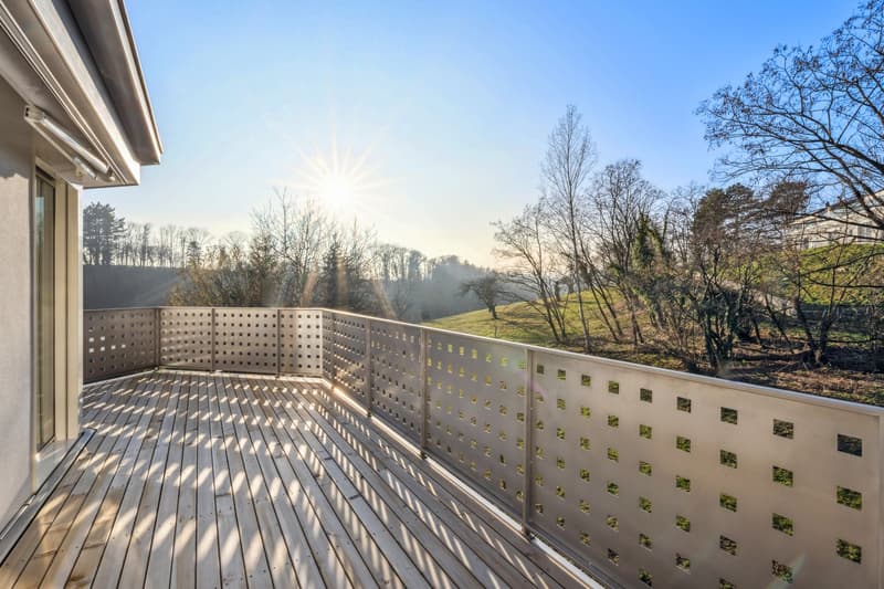 Elegant 5.5-room duplex with mezzanine and private elevator (2)