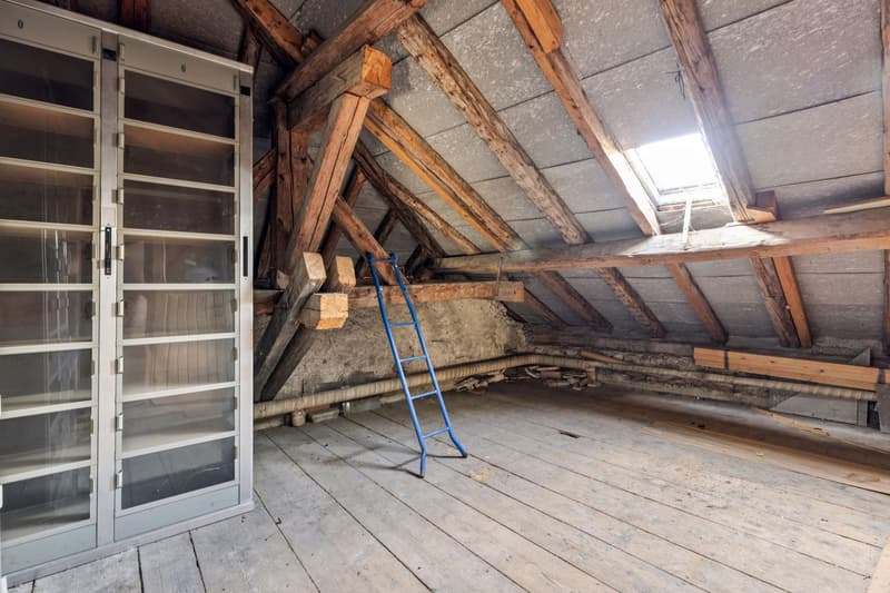 1840 m to renovate or develop in the heart of La Chaux (11)