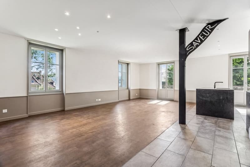 Maison individuelle 6.5 pièces rénovée avec soin (3)