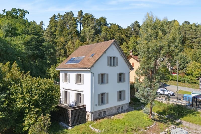 Maison individuelle 6.5 pièces rénovée avec soin (1)