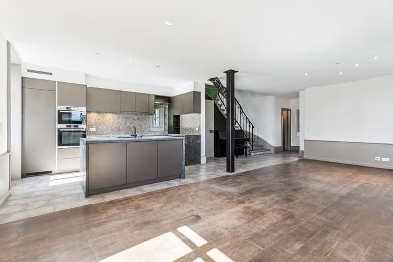 Maison individuelle 6.5 pièces rénovée avec soin (2)