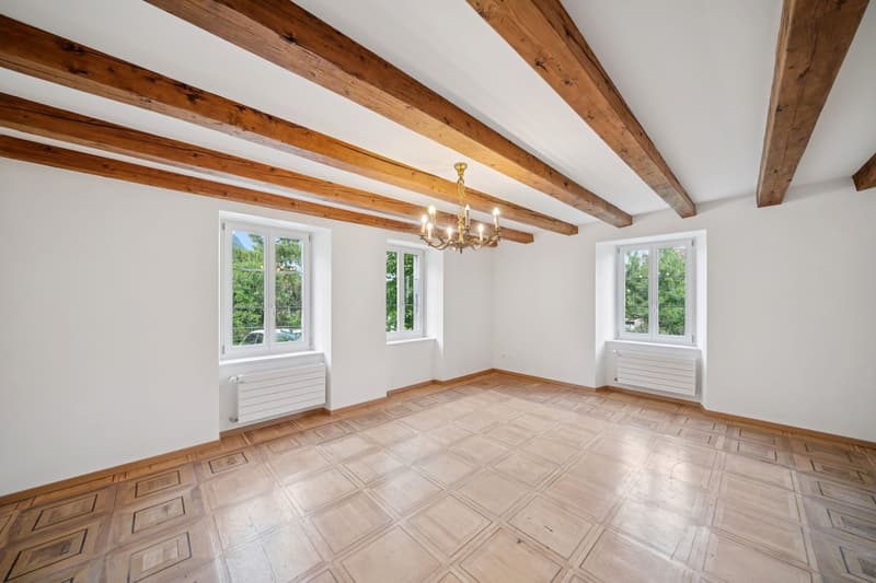 Ensemble von Immobilien zur Renovierung im Herzen von Baulmes, 2'934 m² (8)