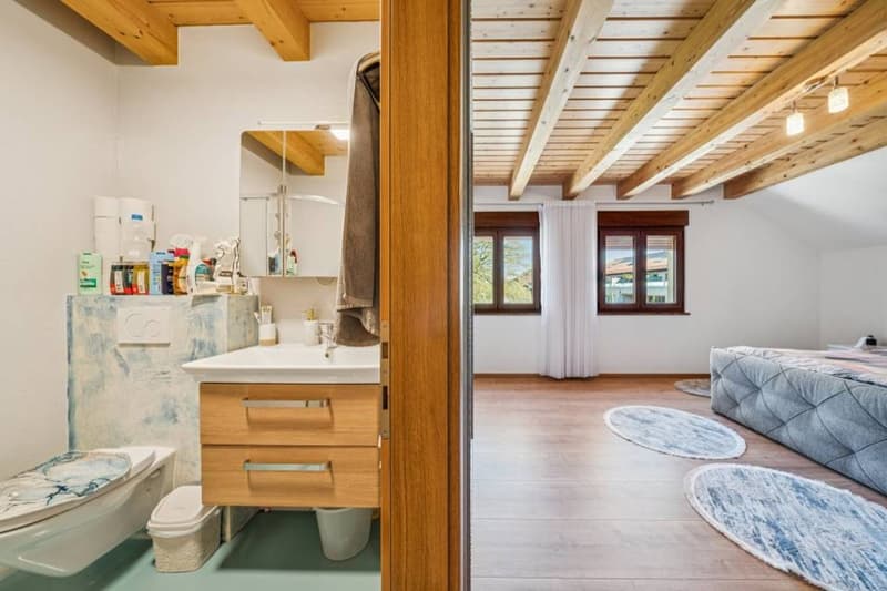 Exclusivité Switzerland Sotheby's maison avec dépôt (10)