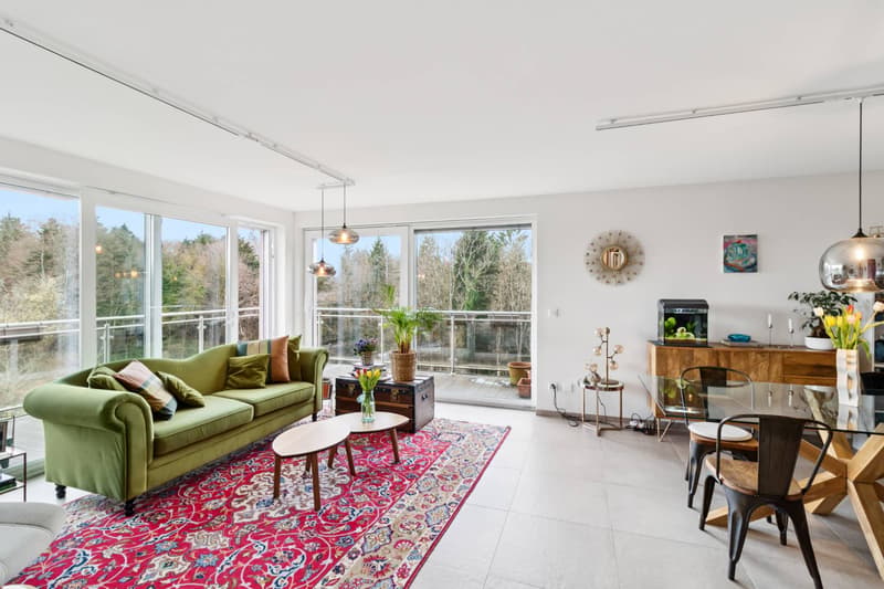 RARE 4.5 ROOM APARTMENT WITH 30M² TERRACE IN THE HEIGHTS OF LAUSANNE (2)