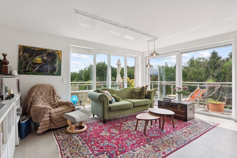 RARE 4,5P AVEC TERRASSE DE 30M² SUR LES HAUTS DE LAUSANNE (4)