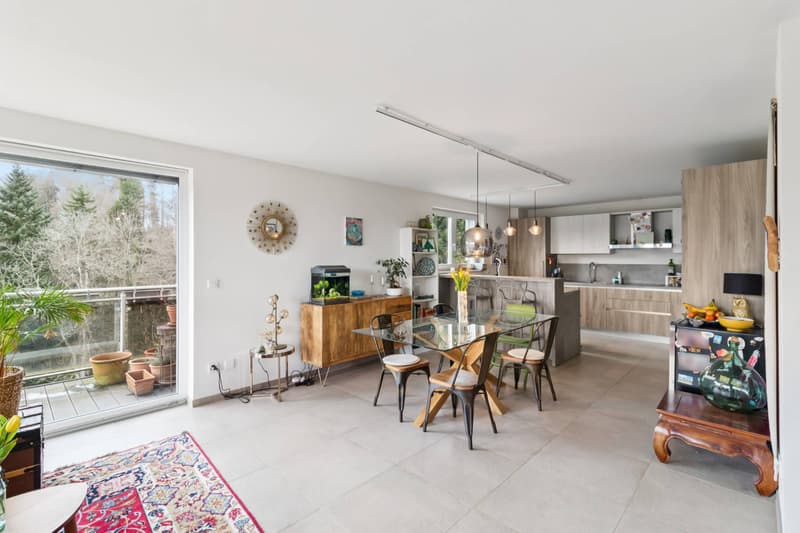 RARE 4.5 ROOM APARTMENT WITH 30M² TERRACE IN THE HEIGHTS OF LAUSANNE (3)