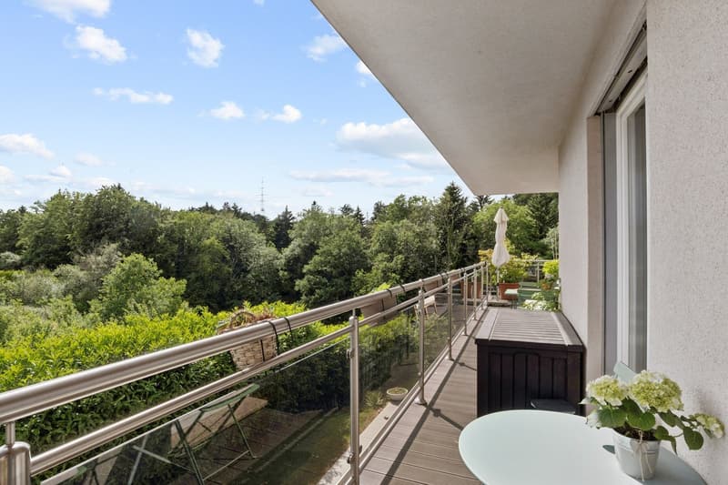 RARE 4,5P AVEC TERRASSE DE 30M² SUR LES HAUTS DE LAUSANNE (2)