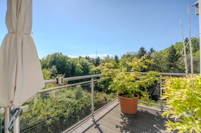 RARE 4.5 ROOM APARTMENT WITH 30M² TERRACE IN THE HEIGHTS OF LAUSANNE (9)