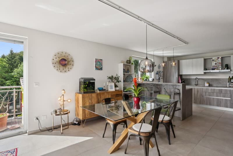 RARE 4,5P AVEC TERRASSE DE 30M² SUR LES HAUTS DE LAUSANNE (7)
