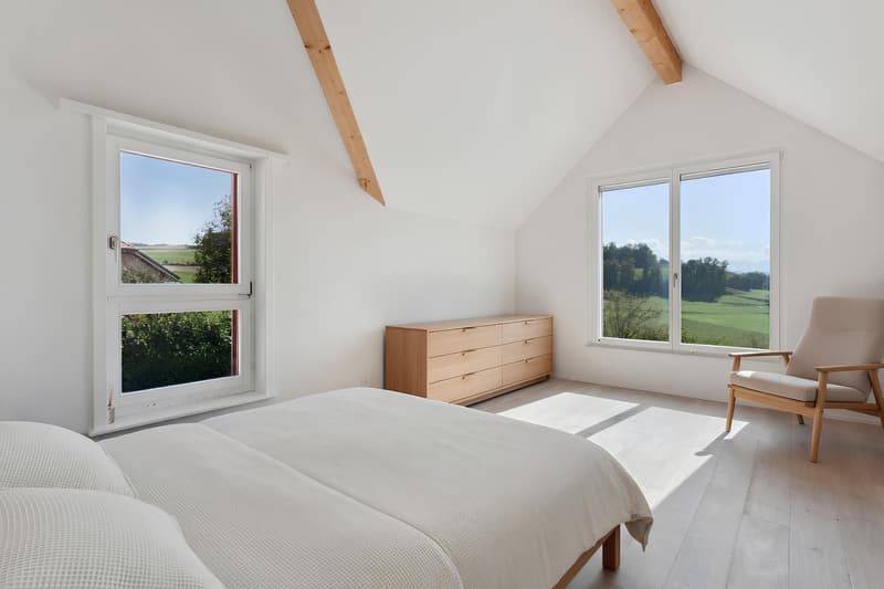 Family villa 35 minutes from Lausanne, panoramic view, calm and st (7)