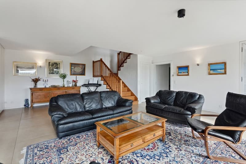 Family villa of 7.5 rooms with independent studio of 1.5 rooms, view (3)