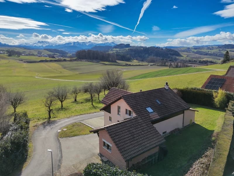 Family villa 35 minutes from Lausanne, panoramic view, calm and st (1)