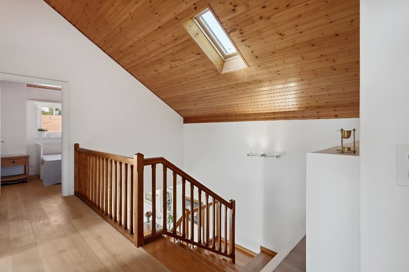 Family villa 35 minutes from Lausanne, panoramic view, calm and st (13)