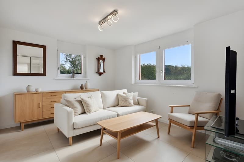 Family villa 35 minutes from Lausanne, panoramic view, calm and st (5)