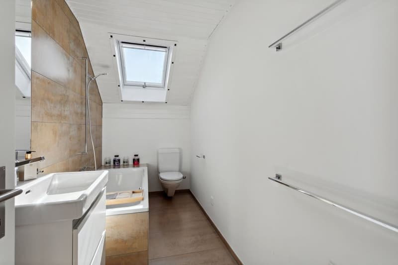 Family villa of 7.5 rooms with independent studio of 1.5 rooms, view (7)