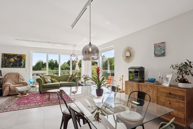RARE 4.5 ROOM APARTMENT WITH 30M² TERRACE - MONTBLESSON (2)