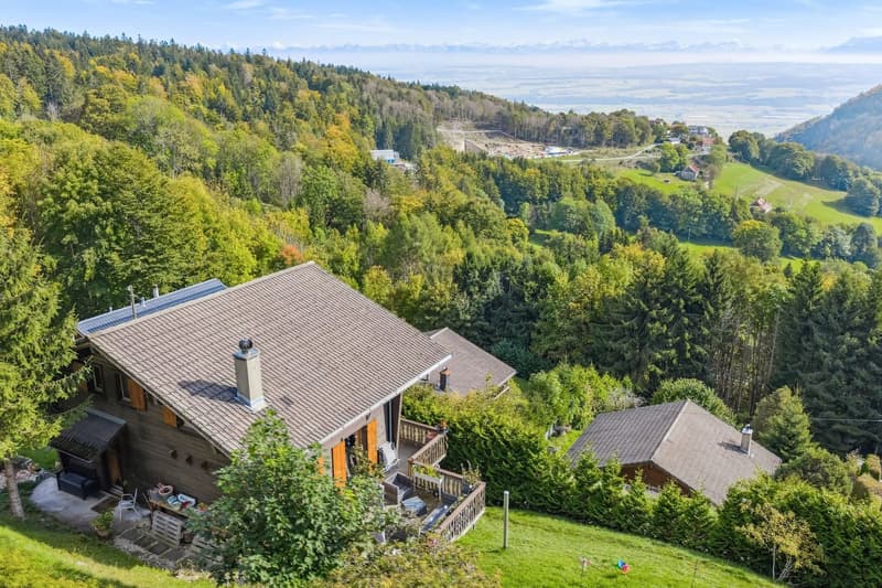 Welcoming chalet with a panoramic view of the plain and the Alps (11)
