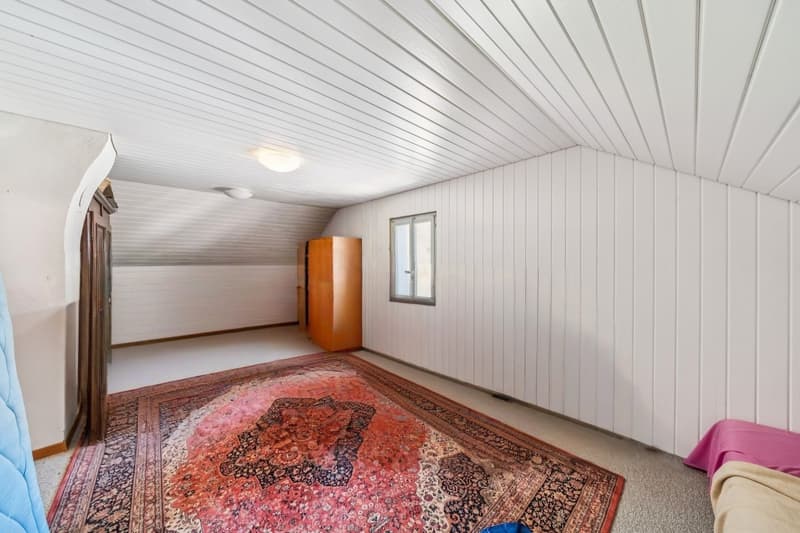 Mehrzweckhaus - 2 Apartments, Studio, Atelier und große Räume (9)