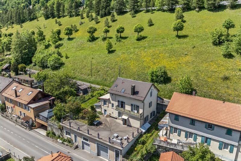 Maison polyvalente - 2 appartements, studio, atelier et grands volumes (1)