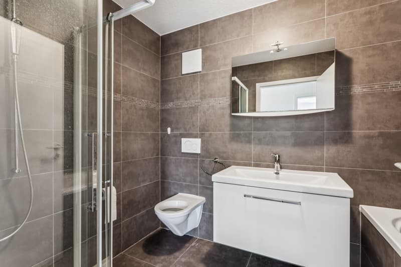 Wohnung 4,5 Zimmer, Terrasse, eigenem Garten und Bahnhof in wenigen Metern (9)