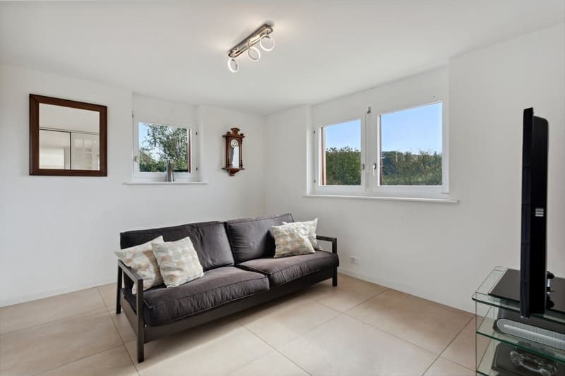 Villa familiale de 7,5 pièces avec studio indépendant de 1,5 pièce, vu (5)