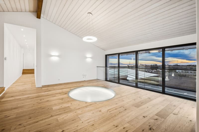 Villa d'exception 8.5 pièces, vue lac et Alpes, 9 places en sous-sol (4)