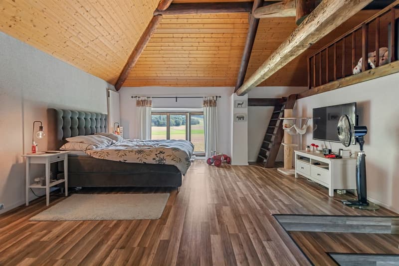 Maison 6.5 pièces avec splendide vue sur le château et la campagne (8)