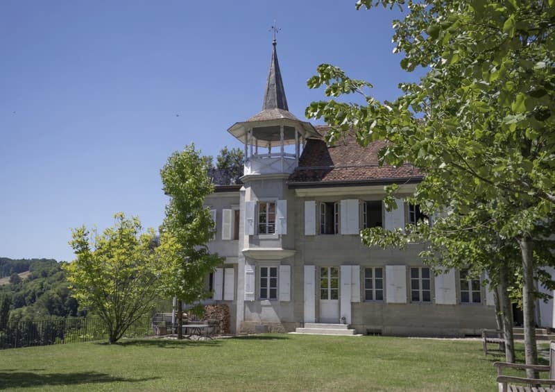 Maison de maître du XVII siècle, restaurée avec les Monuments histori (1)