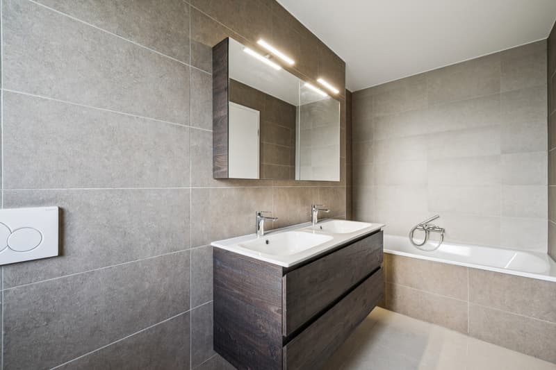 En exclusivité chez Switzerland Sotheby's International Realty (5)