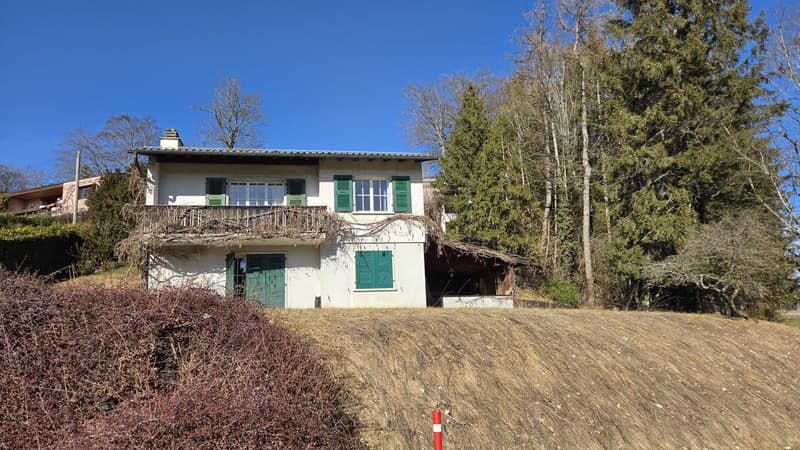 Vue extérieure | Aussenansicht