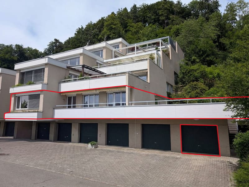 5.5-room apartment with large terrace (1)