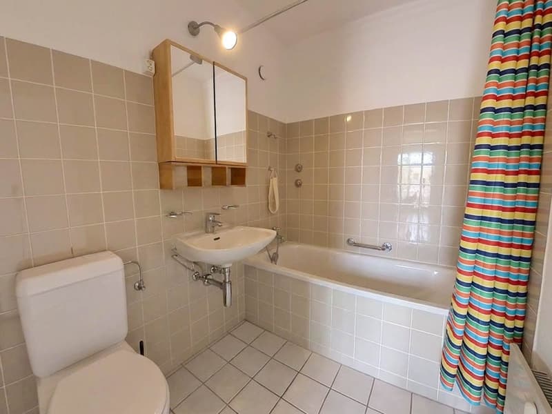 5.5-room apartment with large terrace (6)