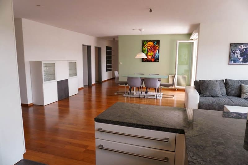 5.5-room apartment with large terrace (8)