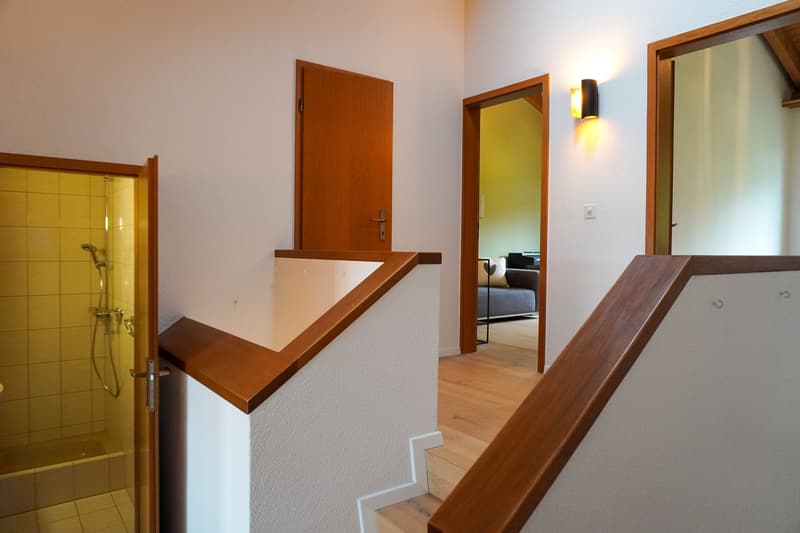 5½ room single-family house with garden and panoramic view (8)