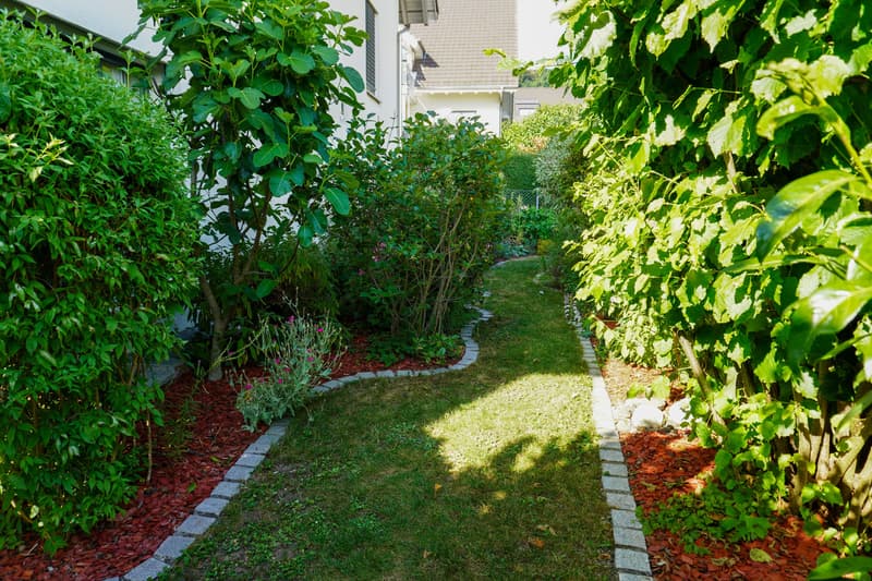 4.5-room garden apartment in Lindenpark (5)