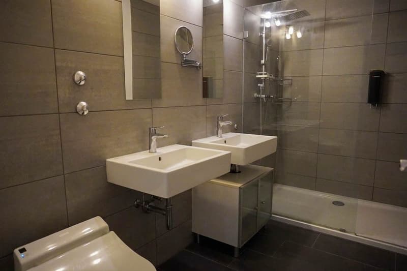 Grosse 5½-Zimmer-Wohnung mit 78 m² Terrasse (9)