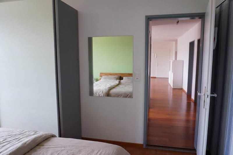 Grosse 5½-Zimmer-Wohnung mit 78 m² Terrasse (8)